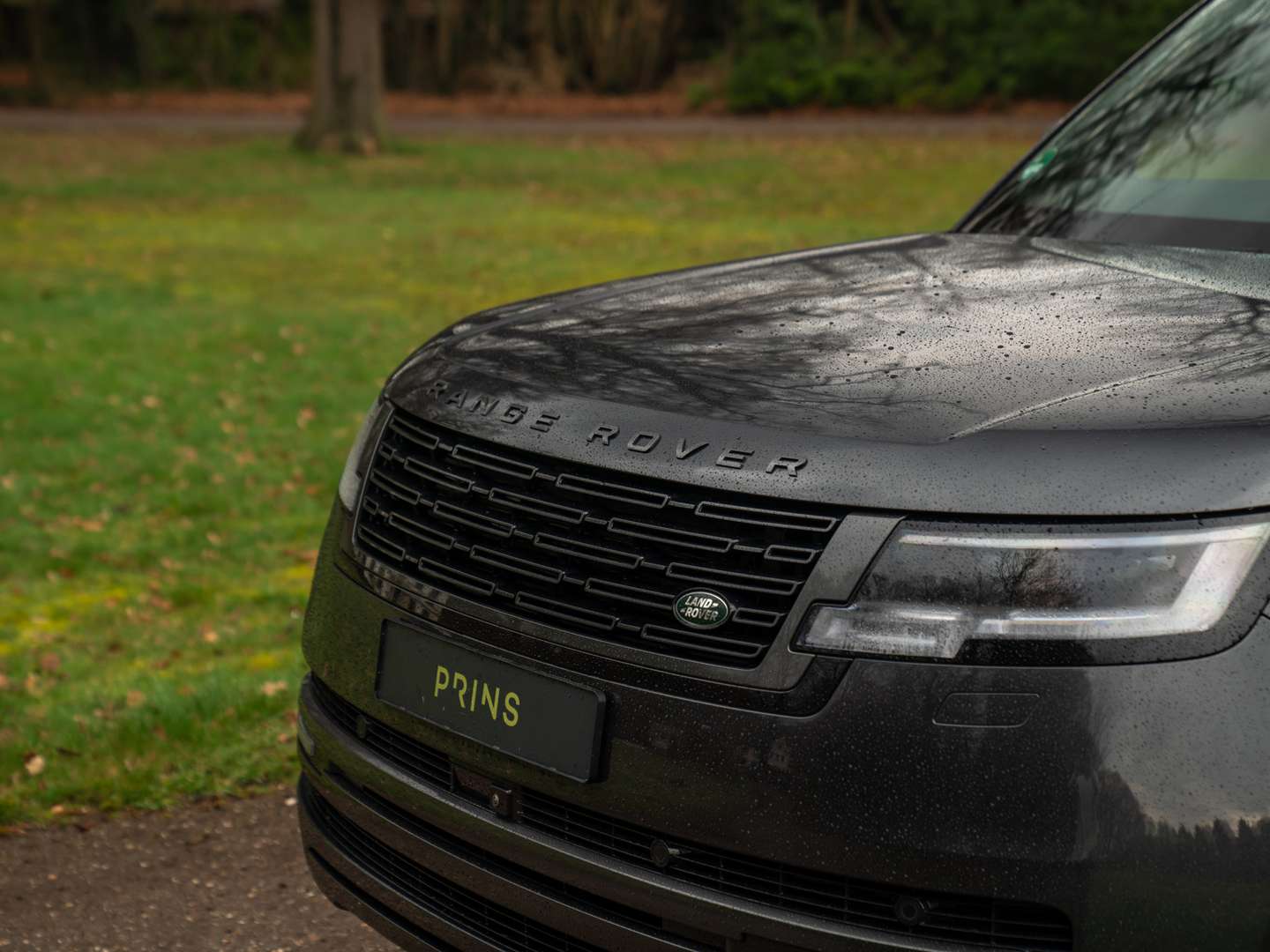 Land Rover Range Rover Autobiography MY26 | Meridian Signa 3.0 P550e PHEV - 2025 - Joinsteer - #14