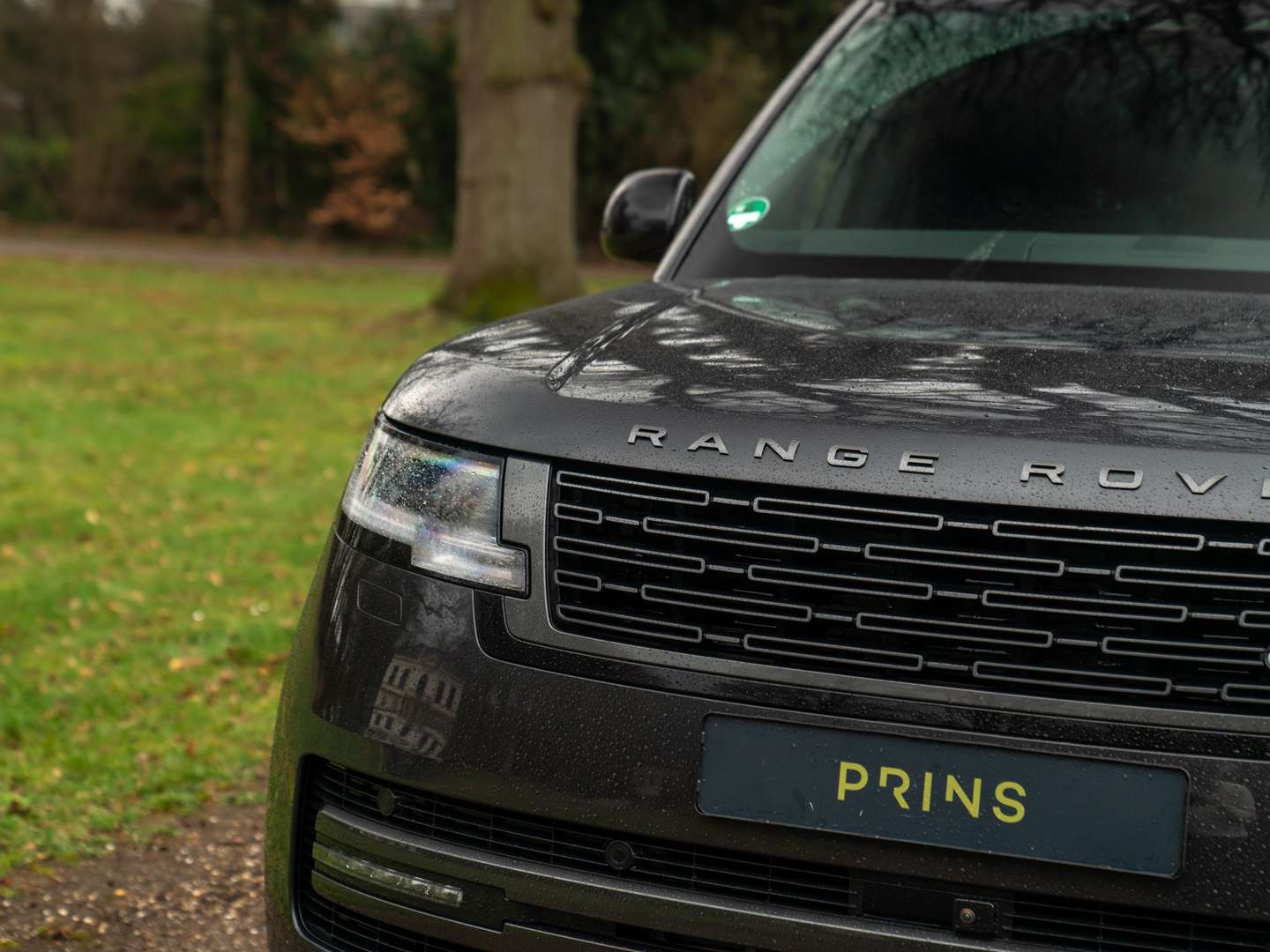 Land Rover Range Rover Autobiography MY26 | Meridian Signa 3.0 P550e PHEV - 2025 - Joinsteer - #15