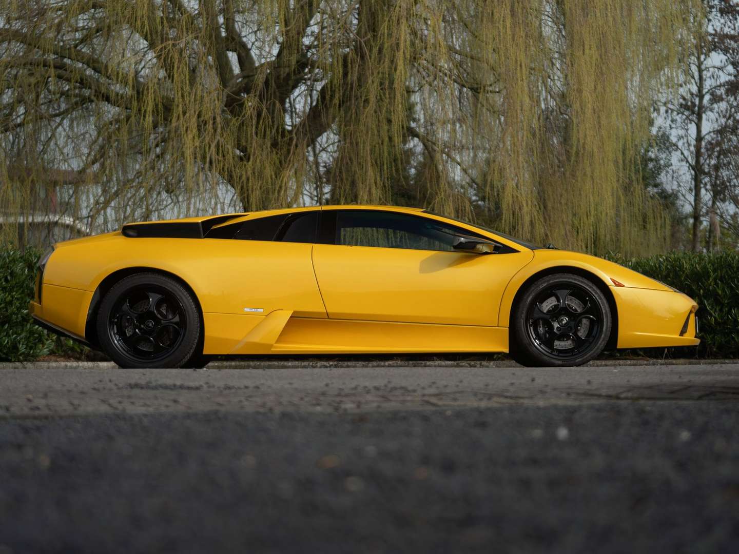Lamborghini Murciélago - 2002 - Joinsteer - #6