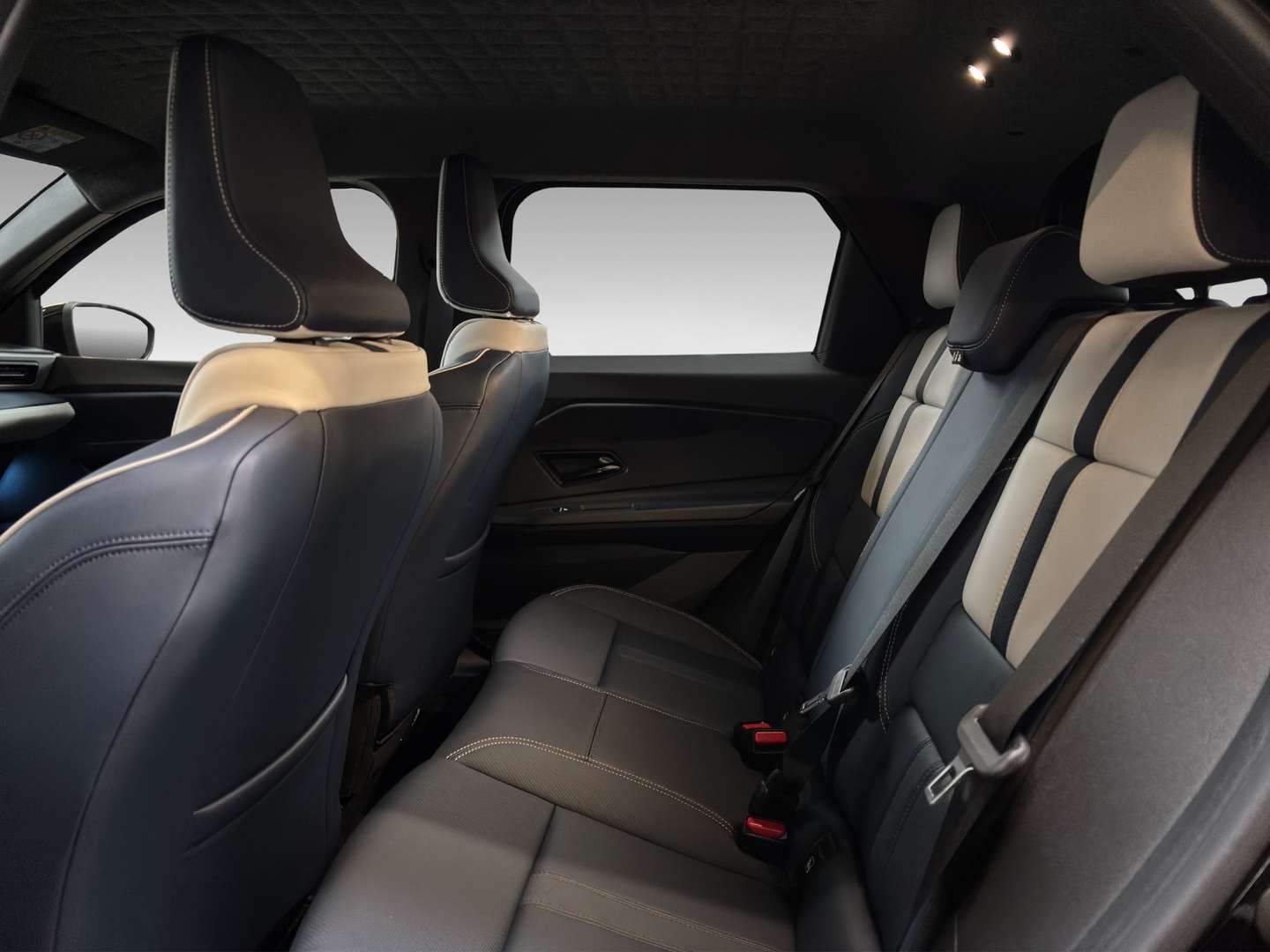 Alpine A290 GTS GT Performance - 2025 - Joinsteer - #11