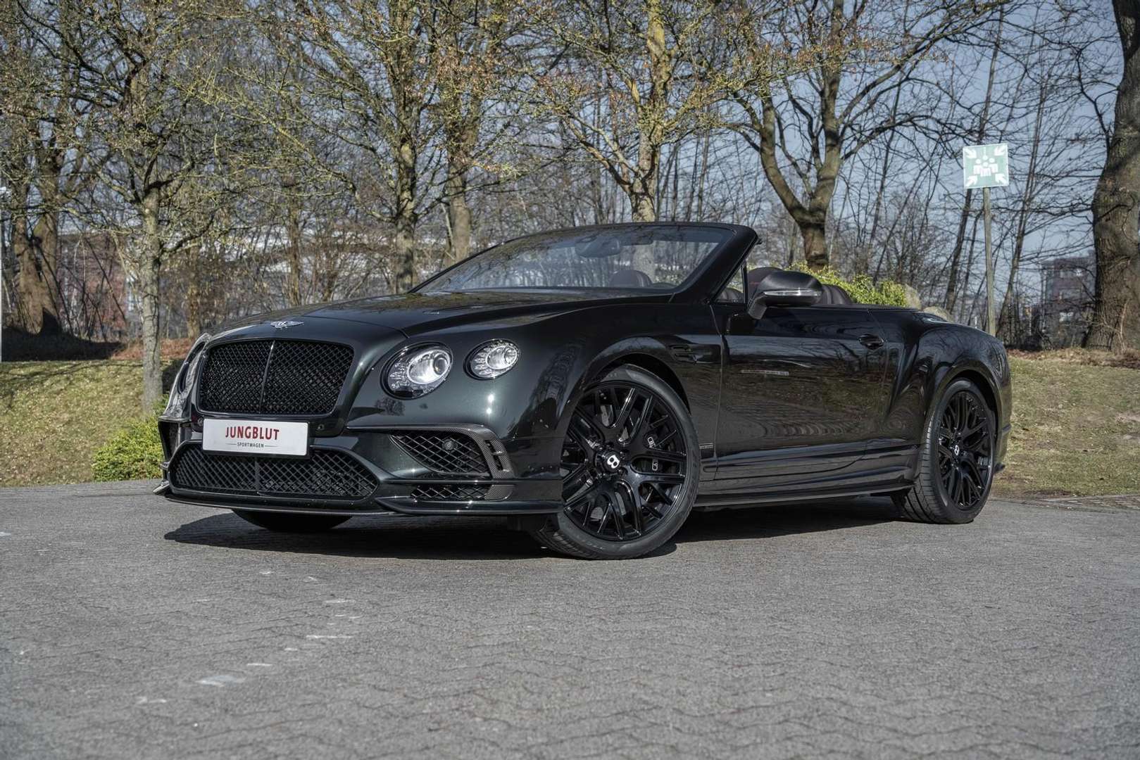 Bentley Continental GT W12 Speed - 2018 - Joinsteer - #4