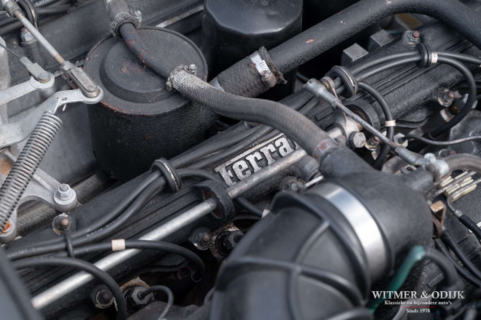 Ferrari 400 - 1981 - Joinsteer - #33