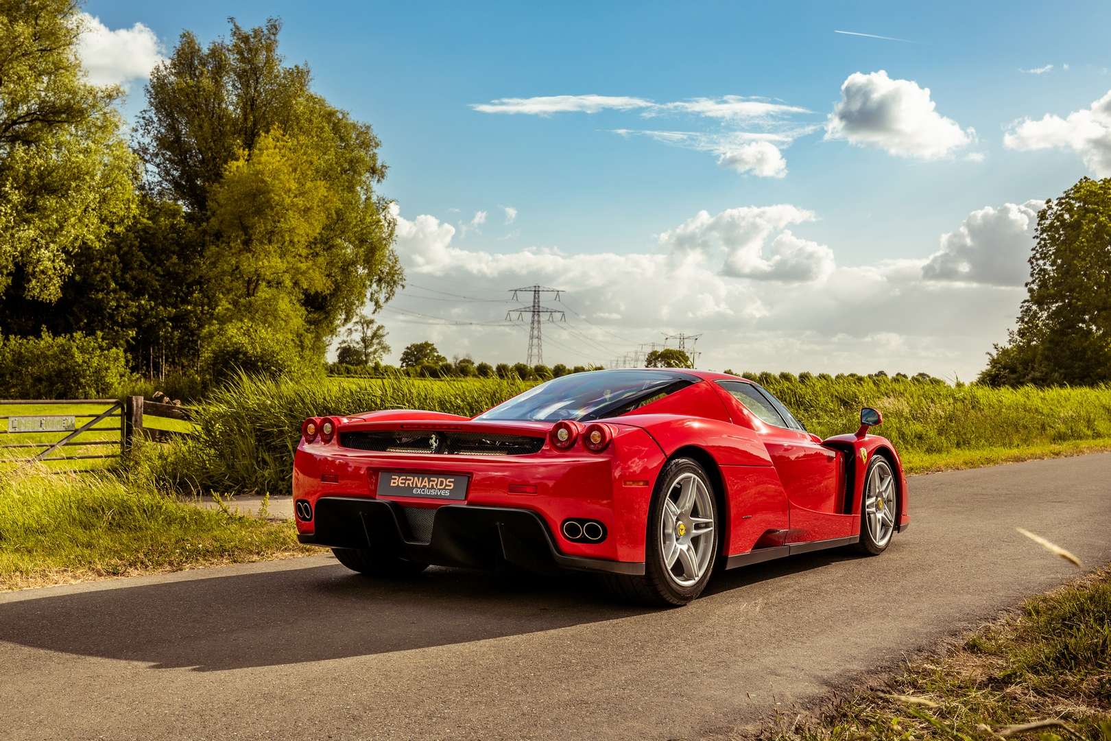 Ferrari Enzo - 2004 - Joinsteer - #2