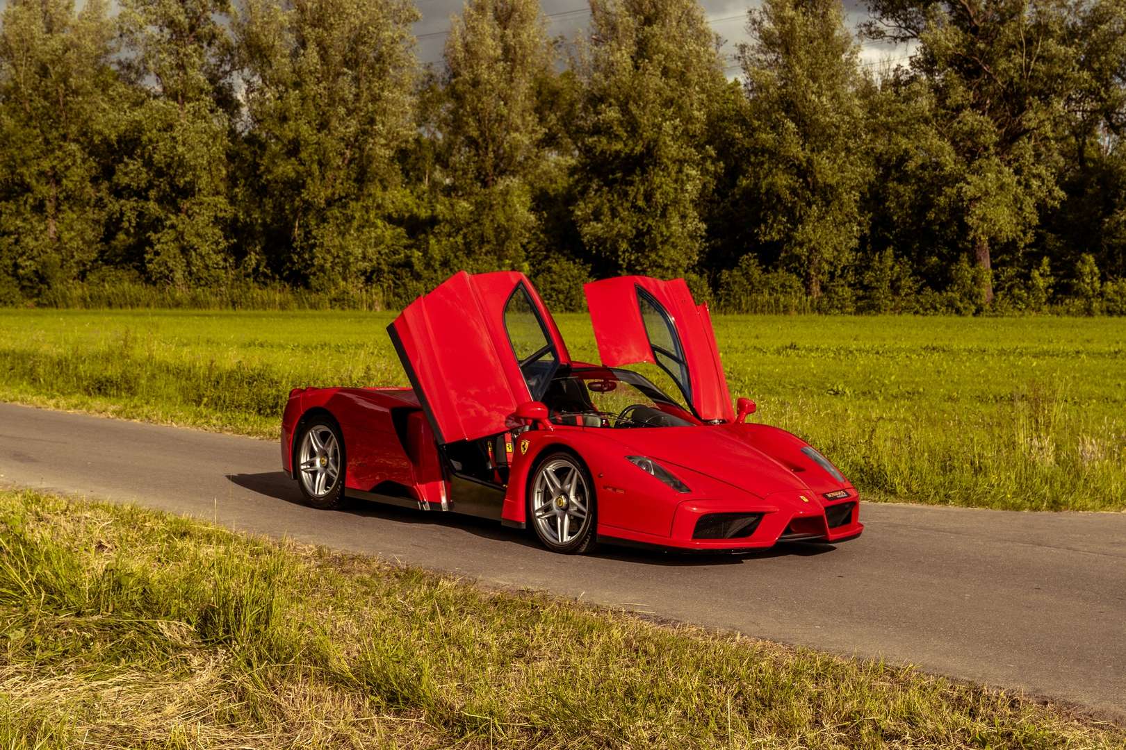 Ferrari Enzo - 2004 - Joinsteer - #8