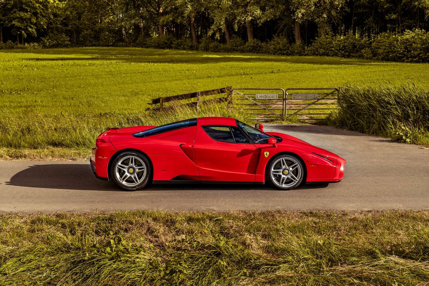 Ferrari Enzo - 2004 - Joinsteer - #10