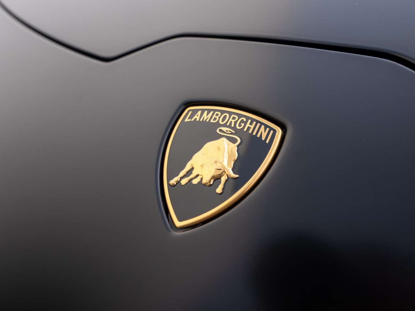 Lamborghini Huracán Evo Spyder - 2024 - Joinsteer - #15