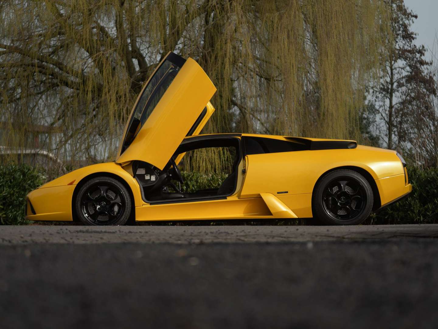 Lamborghini Murciélago - 2002 - Joinsteer - #2