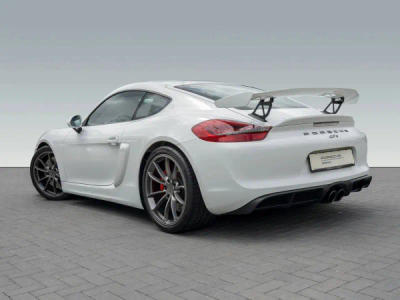 Porsche 981 Cayman Cayman GT4 -  - Joinsteer - #2