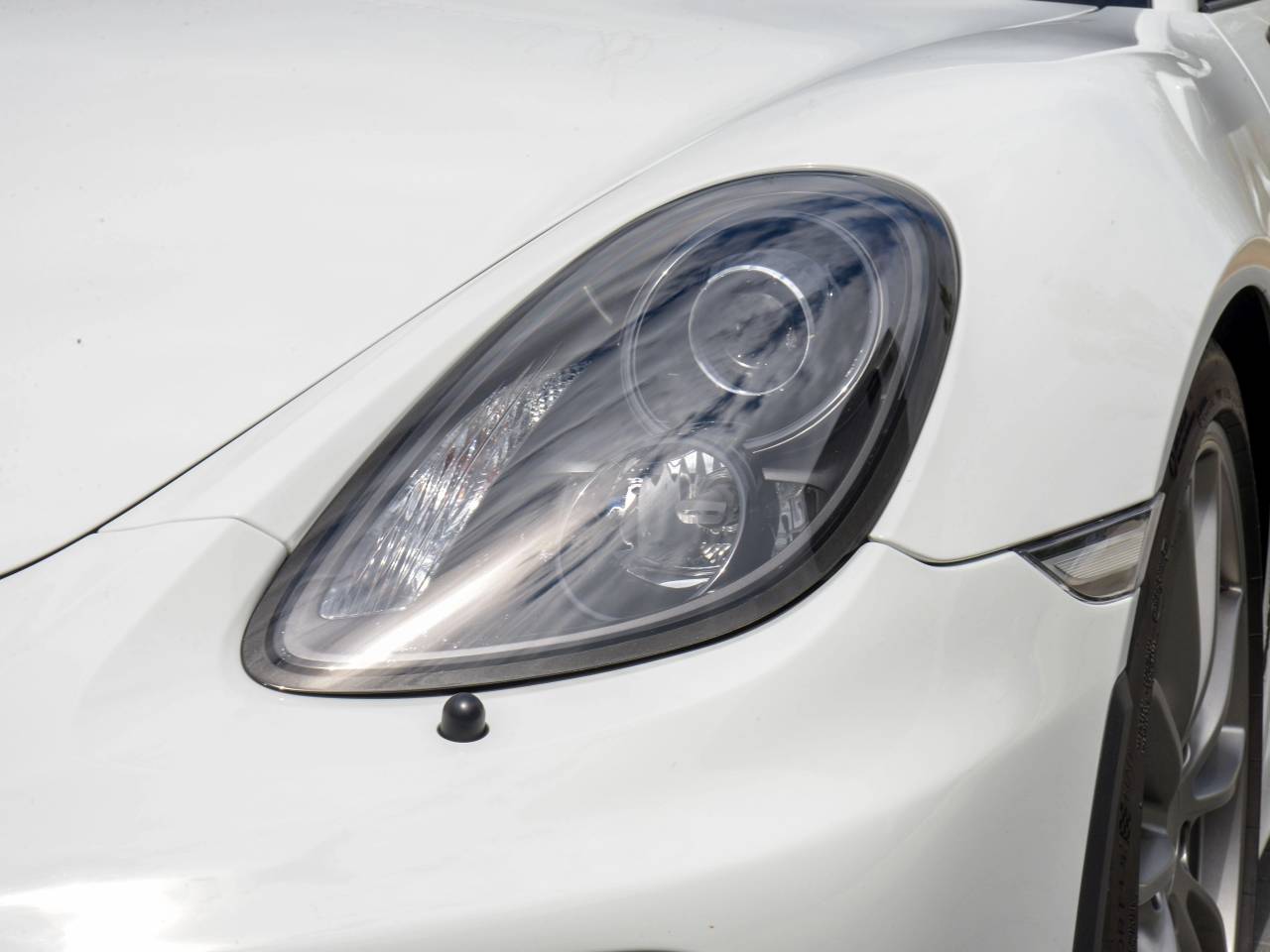 Porsche 981 Cayman Cayman GT4 - 2016 - Joinsteer - #8