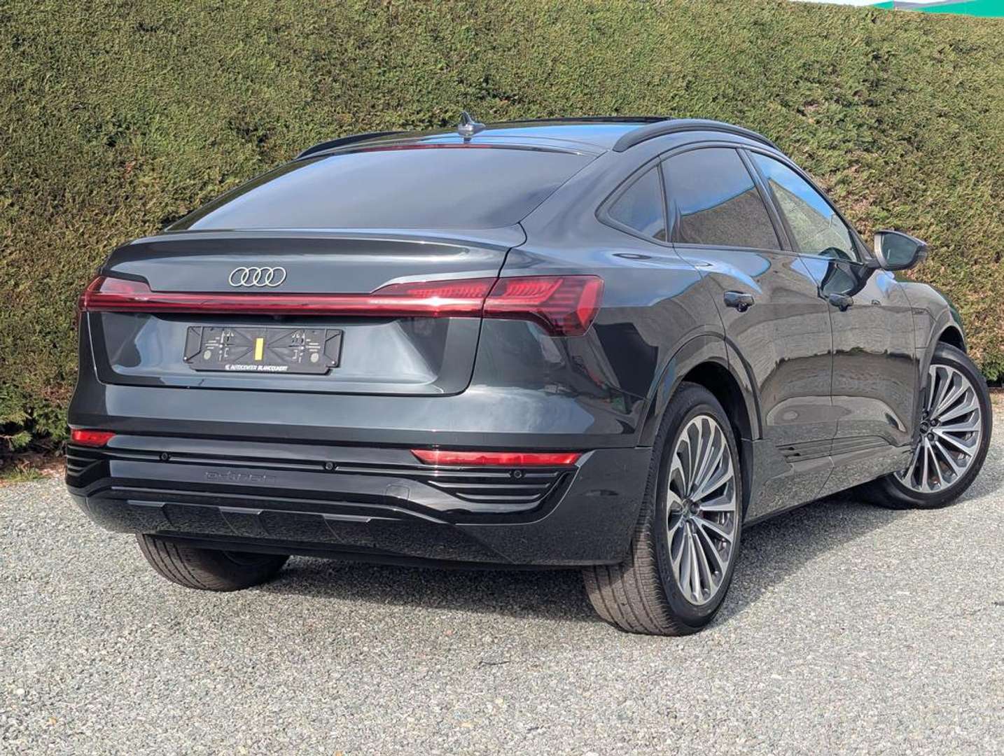Audi Q8 E-tron Opendak - 2023 - Joinsteer - #2