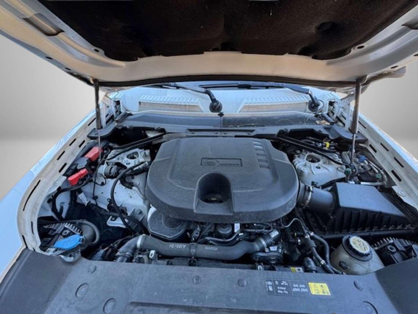 Land Rover Defender 110 3.0d I6 Mhev Awd 200cv Auto - 2023 - Joinsteer - #19