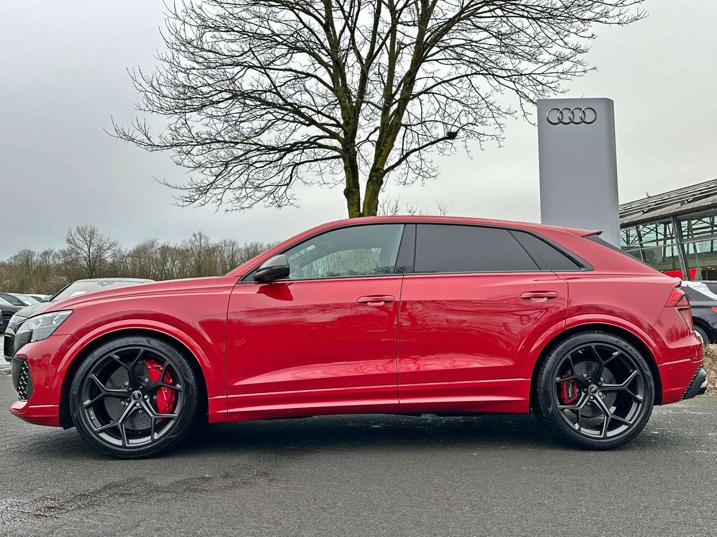 Audi RSQ8 Performance - 2024 - Joinsteer - #6
