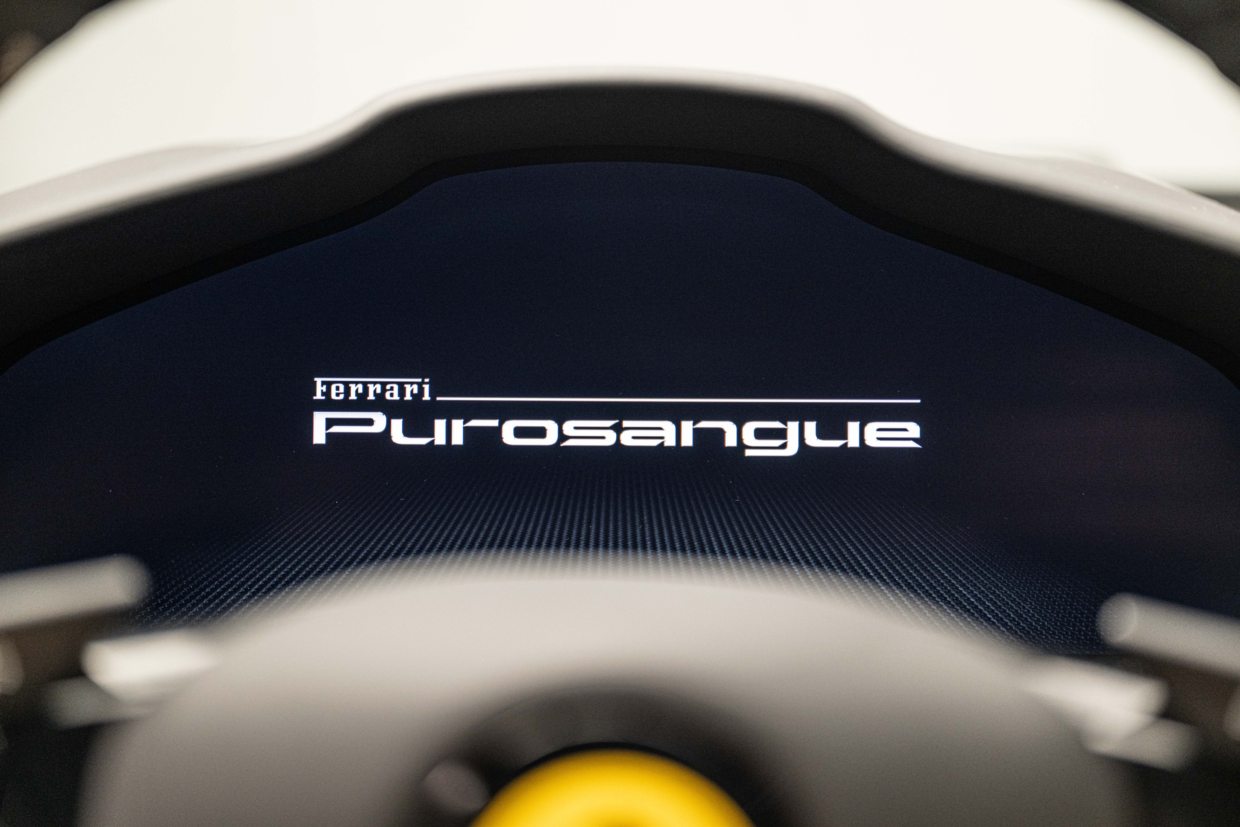 Ferrari Purosangue - 2024 - Joinsteer - #25
