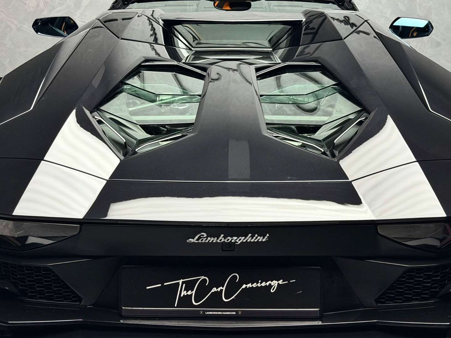 Lamborghini Aventador Roadster - 2018 - Joinsteer - #23