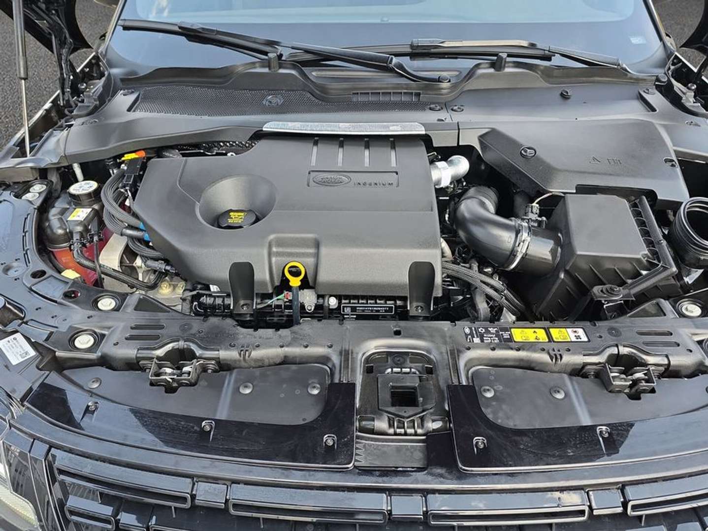 Land Rover Range Rover Evoque D200 Dynamic SE - 2026 - Joinsteer - #10