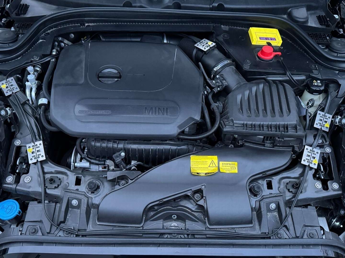 Mini Cabrio Classic Cooper - 2023 - Joinsteer - #16