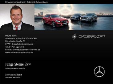 Mercedes EQA 250 Progressive Advanced Plus — photo 11