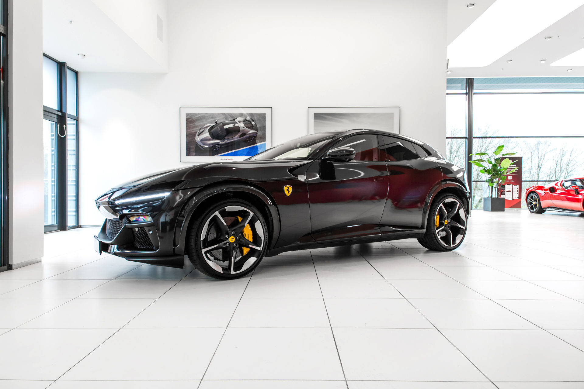 Ferrari Purosangue - 2024 - Joinsteer - #1