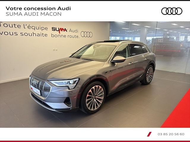 Audi E-tron Avus 55 Quattro 300,00 KW - 2019 - Joinsteer - #1