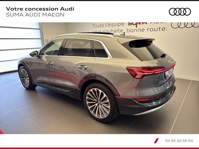 Audi E-tron Avus 55 Quattro 300,00 KW - 2019 - Joinsteer - #6