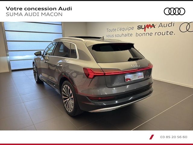 Audi E-tron Avus 55 Quattro 300,00 KW - 2019 - Joinsteer - #7