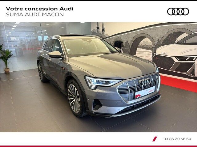 Audi E-tron Avus 55 Quattro 300,00 KW - 2019 - Joinsteer - #18