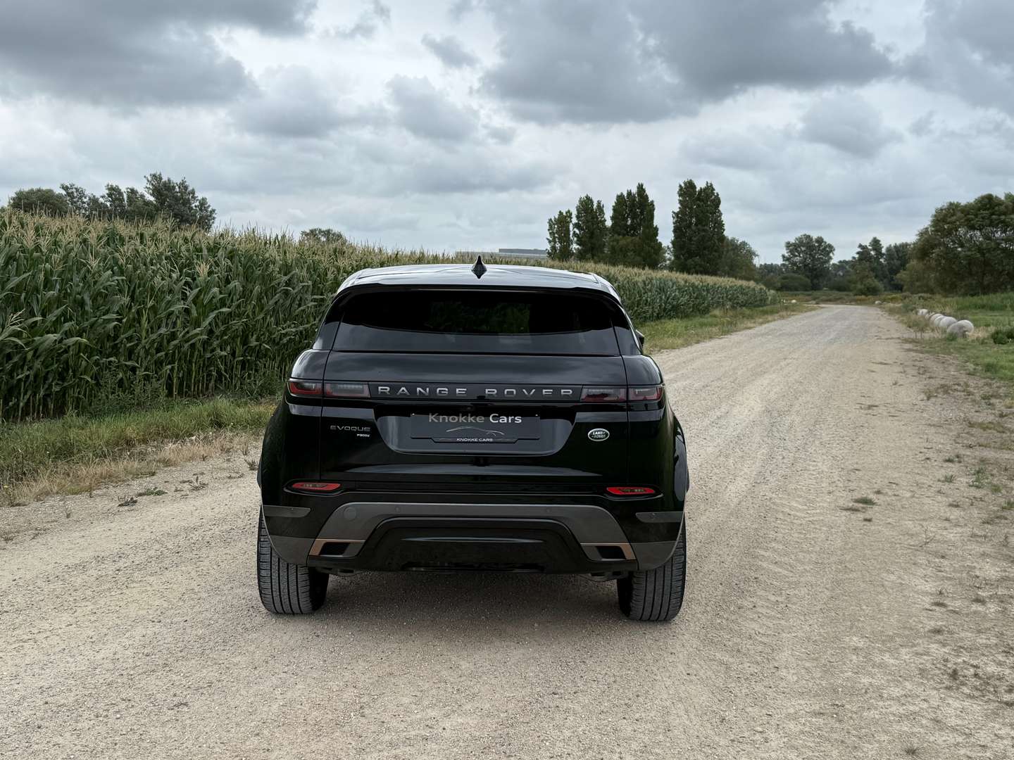 Land Rover Range Rover Evoque Hybride Rechargeable R-Dynamic - 2022 - Joinsteer - #4
