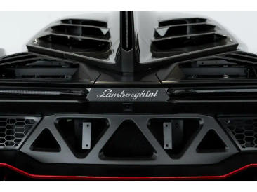 Lamborghini Few Off Veneno — photo 79