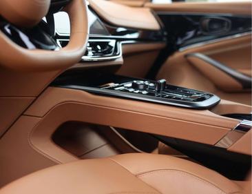 Aston Martin DBX 4.0 V8 707 — photo 5