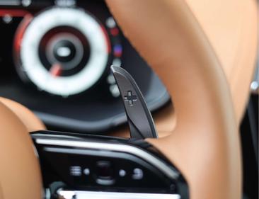 Aston Martin DBX 4.0 V8 707 — photo 37