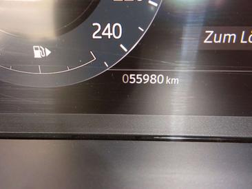 Land Rover Range Rover Evoque D200 Autobiography Panorama — photo 11