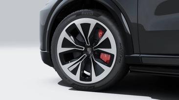 Porsche Cayenne E4 Turbo Electric — photo 10