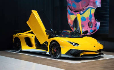 Lamborghini Aventador Roadster S - 2018 - Joinsteer - #1