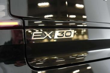 Volvo EX30 Single Motor — photo 28