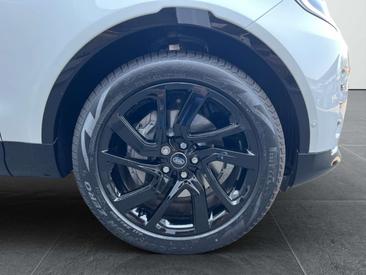 Land Rover Discovery D250 DYNAMIC SE AHK StandHZ SitzHZ Blanc — photo 4