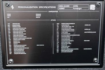 Ferrari Purosangue — photo 13