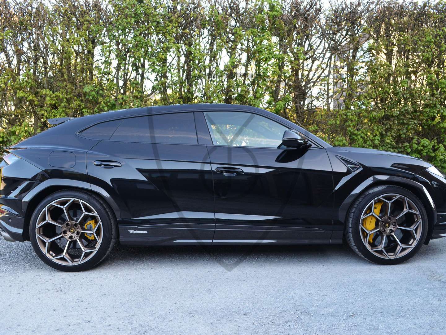 Lamborghini Urus Performante - 2024 - Joinsteer - #9