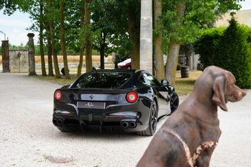 Ferrari F12 Berlinetta — photo 10