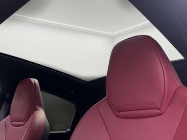 Porsche Cayenne III E-Hybrid Platinum Edition — photo 14