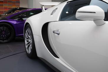 Bugatti Veyron Grand Sport — photo 13