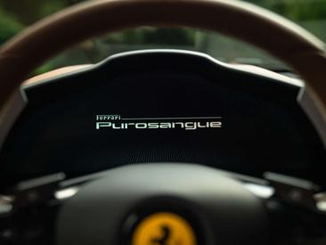 Ferrari Purosangue — photo 40