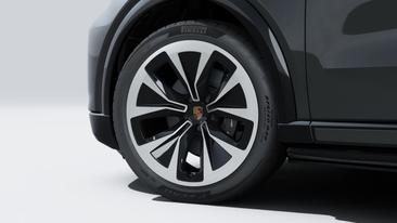 Porsche Cayenne E4 Electric — photo 10