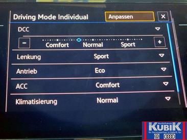 Volkswagen Passat Alltrack TDI 4Motion — photo 11