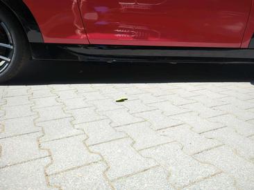 Mini Cabrio John Cooper Works — photo 16