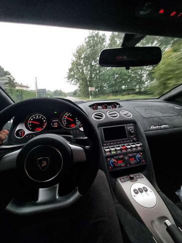 Lamborghini Gallardo — photo 7