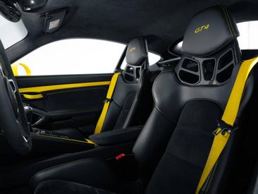 Porsche 981 Cayman Cayman GT4 — photo 12
