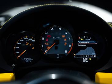 Porsche 981 Cayman Cayman GT4 — photo 23