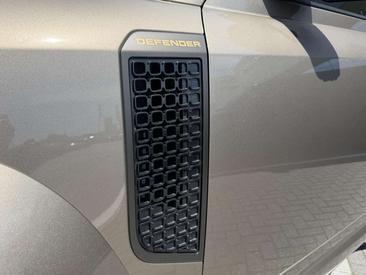 Land Rover Defender 110 Beige P635 OCTA — photo 28