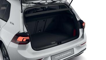 Volkswagen Golf ETSI — photo 8