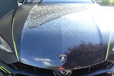 Lamborghini Urus — photo 23
